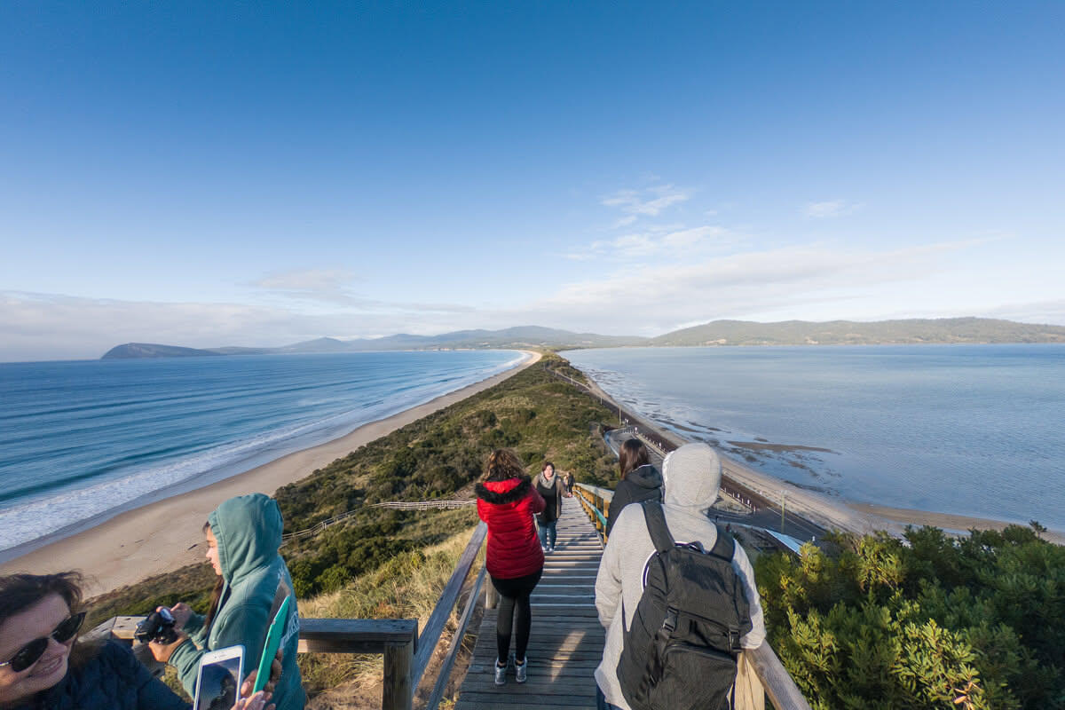 Exploring Bruny Island: A Quick Guide to the Essentials