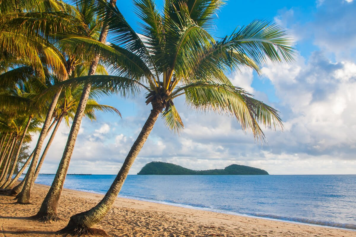 Palm Cove
