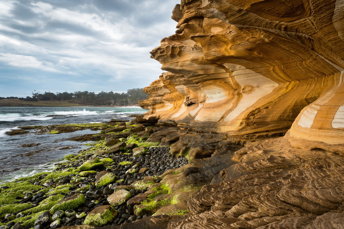 Discover the Painted Cliffs of Maria Island