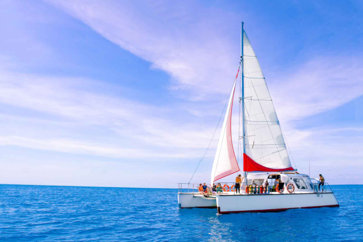 Reef Day Tripper | Sailing Reef Tour from Cairns