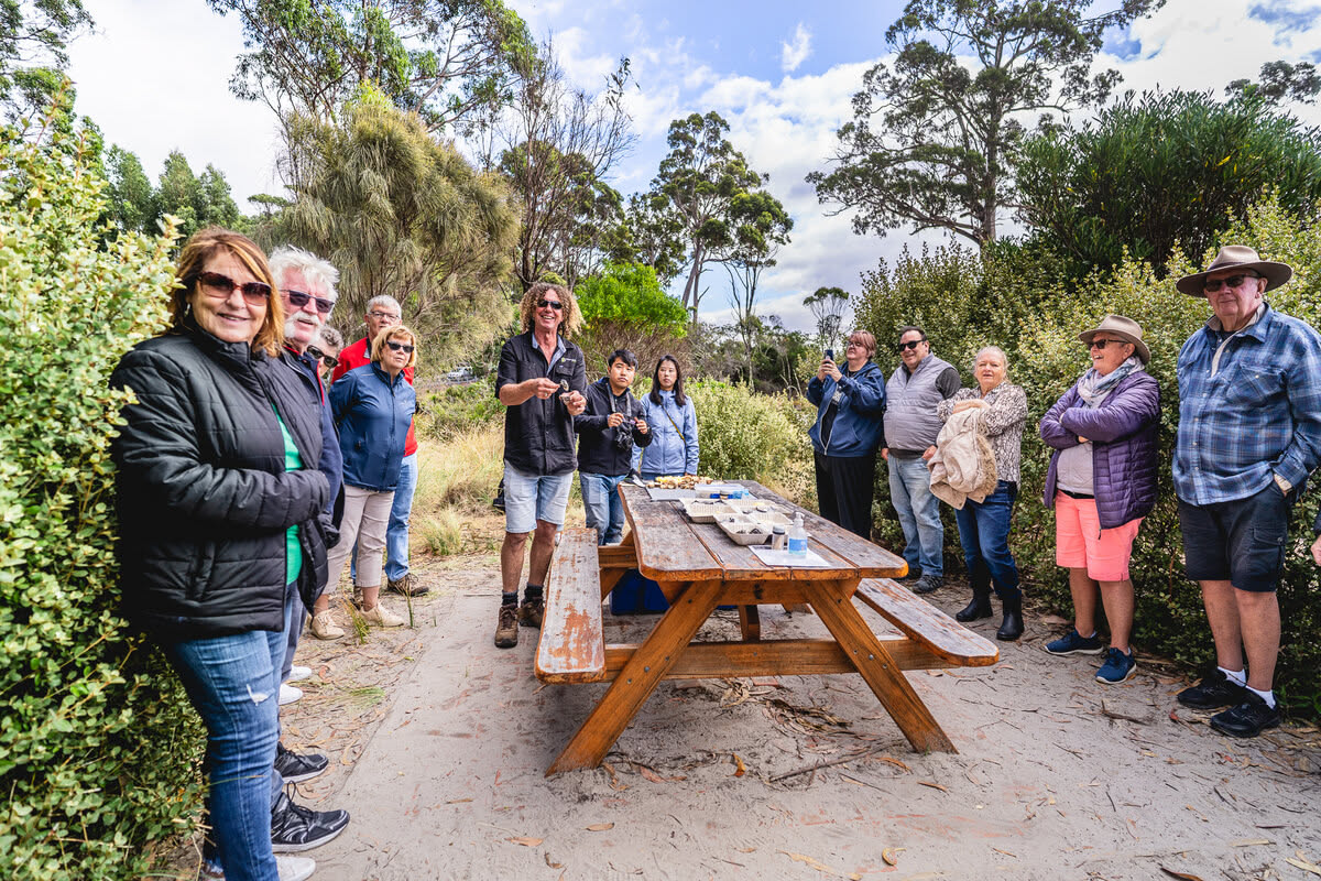 Exploring the Walks & Trails of Bruny Island