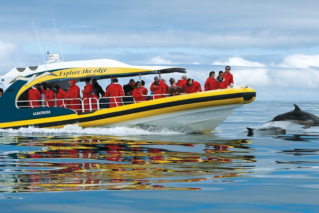 Bruny Island Ferry & Cruise | Departs Kettering