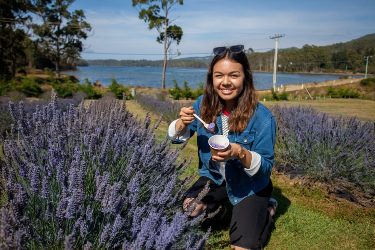 Port Arthur Richmond & Lavender Farm from Hobart