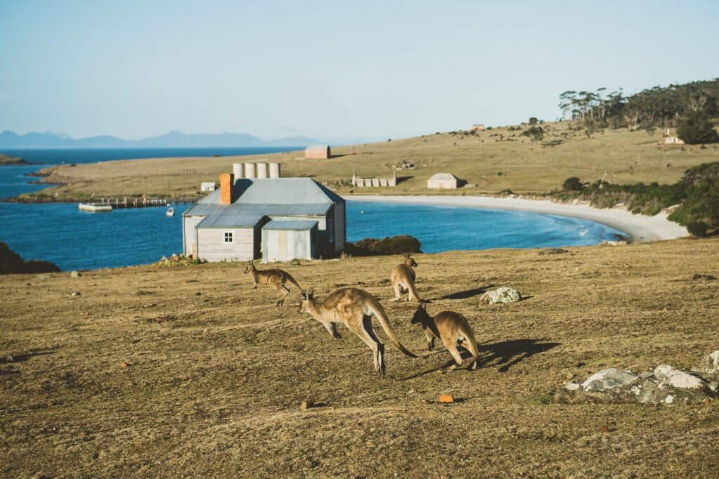 Maria Island Day Tour | Hobart Transfers