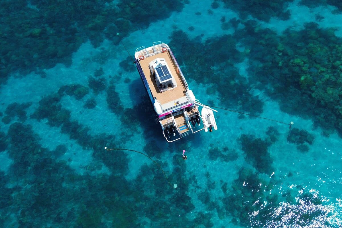 Pure Snorkeling | Afternoon Reef Tour