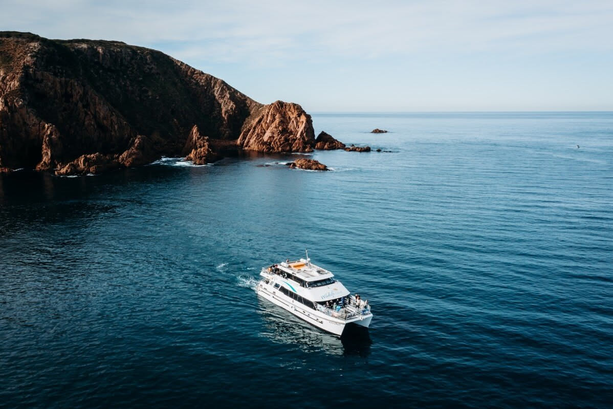 Phillip Island Cape Cruise