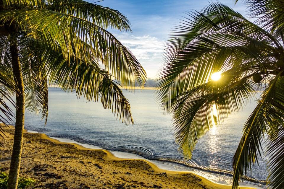 Discover Mission Beach: A Tropical Paradise in Queensland