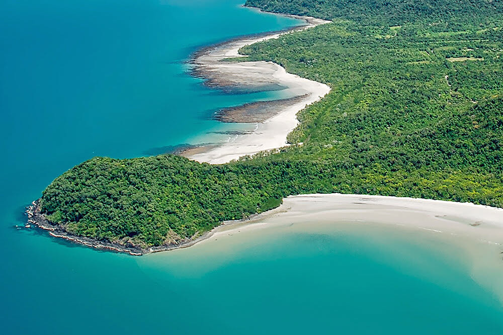Daintree Rainforest