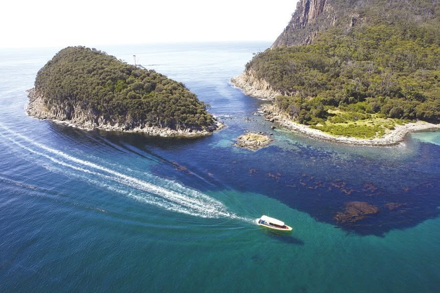 3 Hour Bruny Island Cruise | Departs Bruny Island