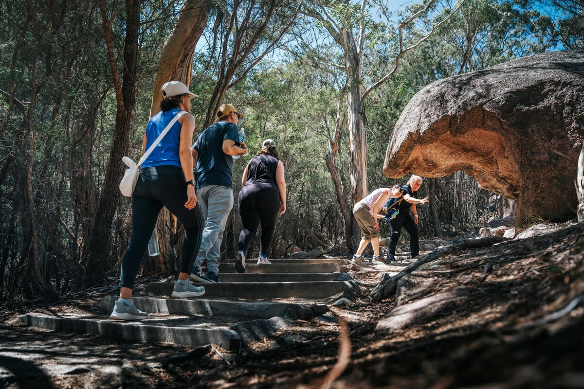Walks & Trails of Freycinet National Park