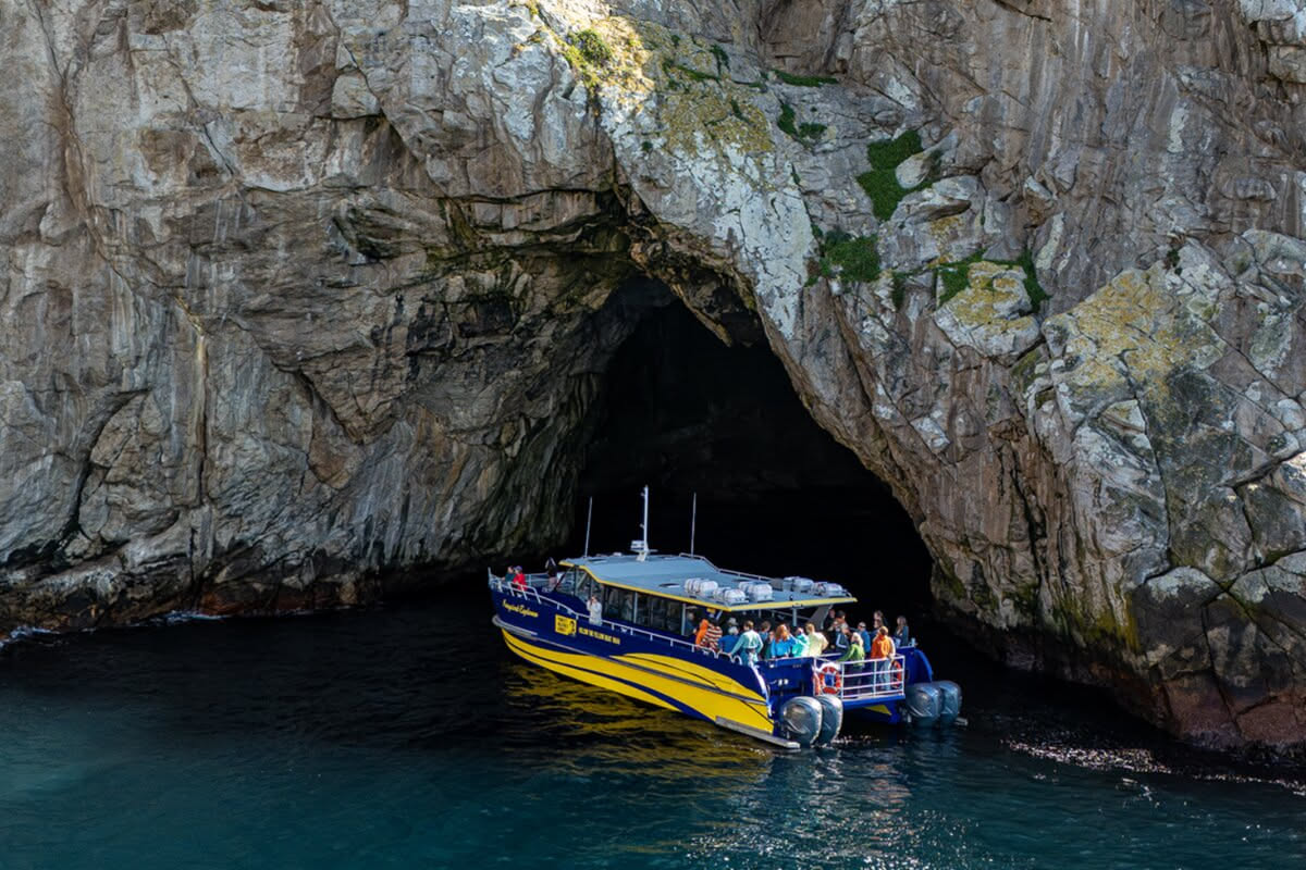 Maria Island Cruise, Walk & Lunch from Hobart