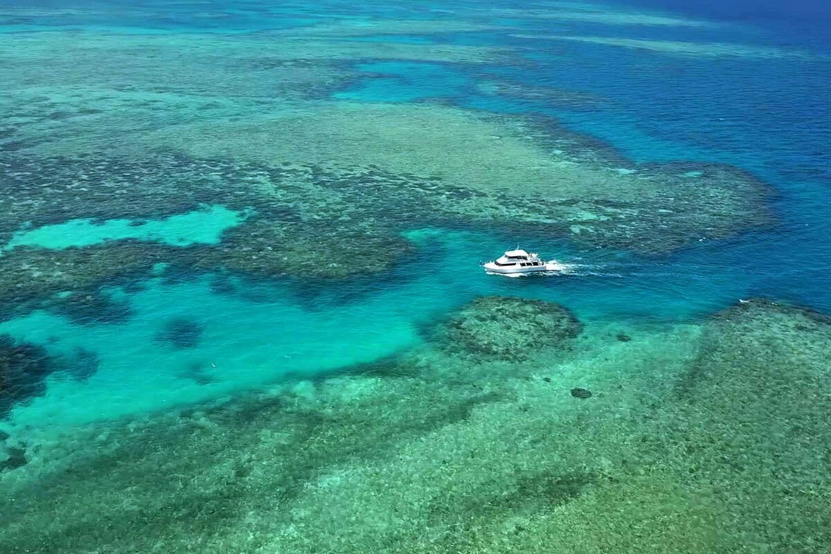 Exploring Beaver Reef from Mission Beach