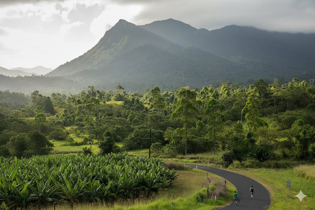 The Cairns to Mission Beach Road Trip: Waterfalls, Rainforest & Hidden Gems