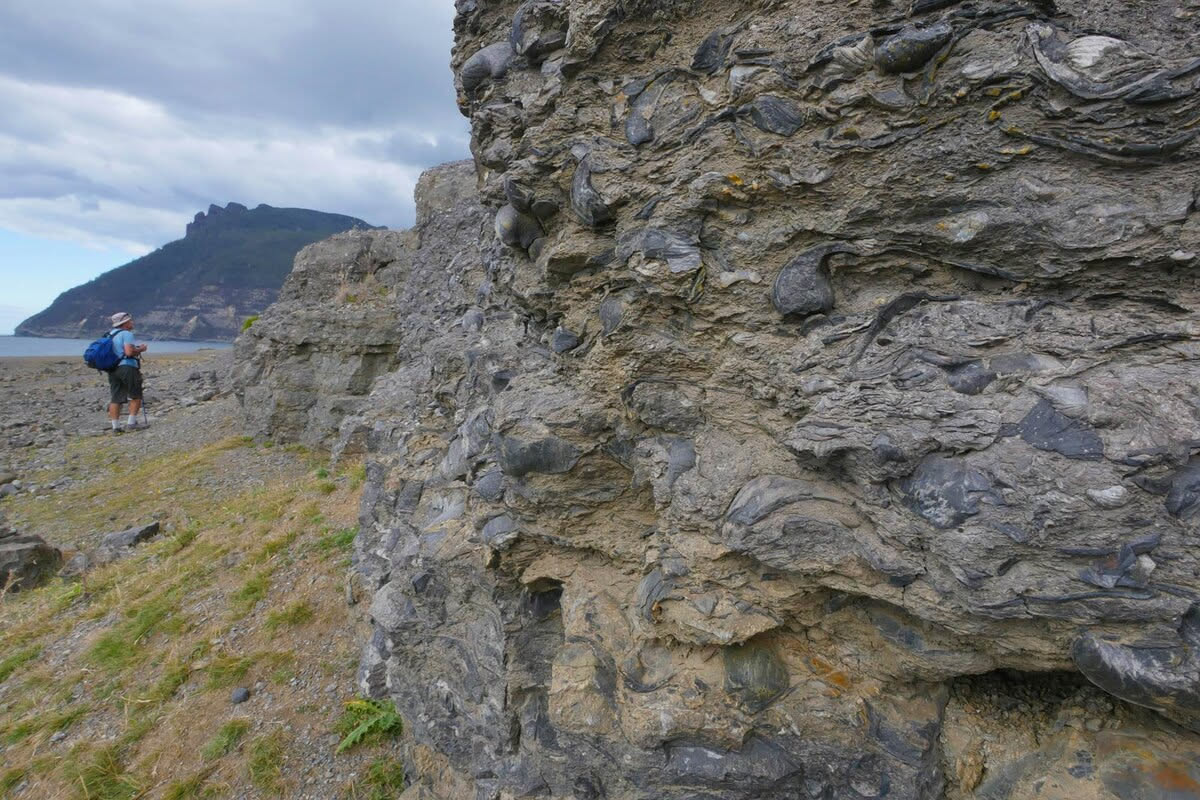 View the Fossil Cliffs on Maria Island